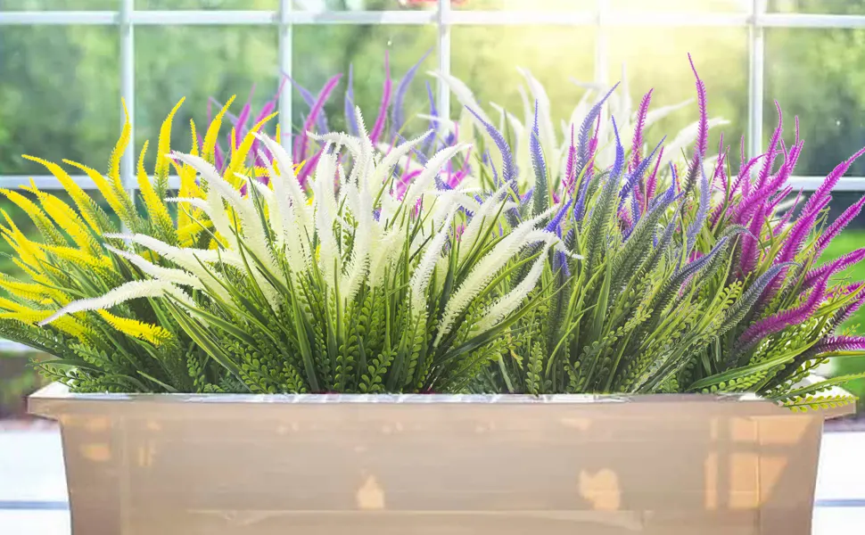 Grasses for height