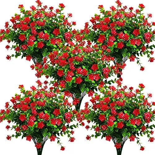 Grunyia Buds with Eucalyptus – Red / Eucalyptus