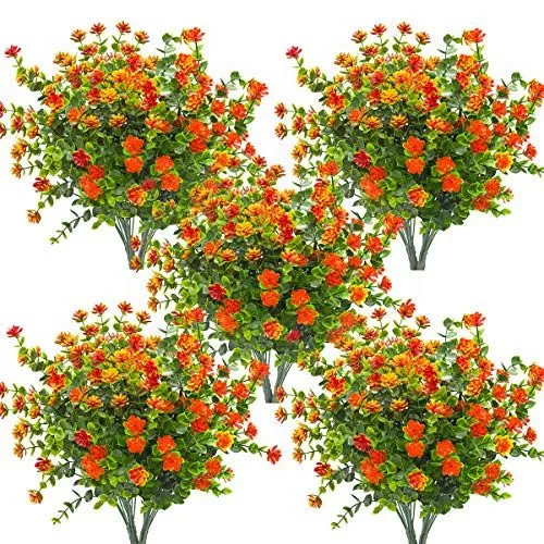 Grunyia Buds with Eucalyptus – Orange / Eucalyptus