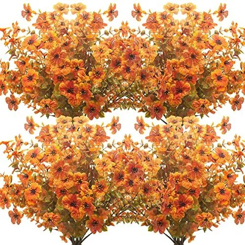 Grunyia Fall Boxwood – Fall Orange