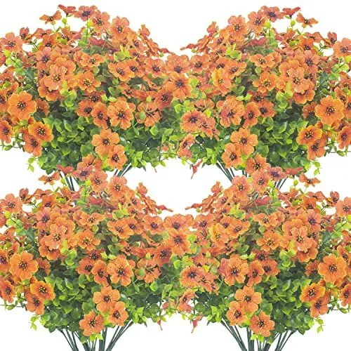 Grunyia Window-Box Buds – Orange