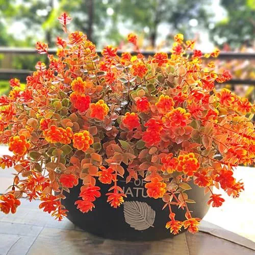 Grunyia Faux Mum Bundles – Fall Red