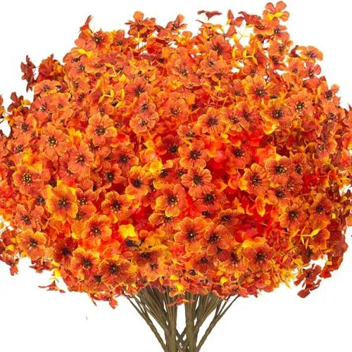 Grunyia Silk Daisy Bush – Fall Orange