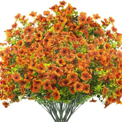Grunyia Silk Daisy Bush – Orange