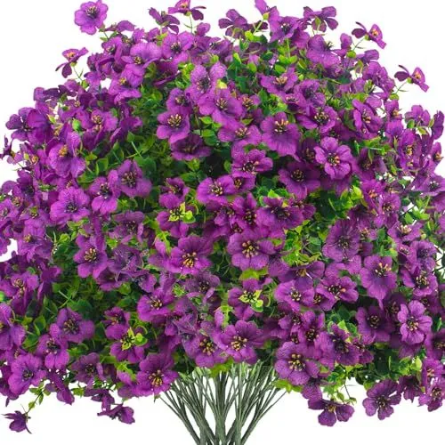 Grunyia Silk Daisy Bush – Purple