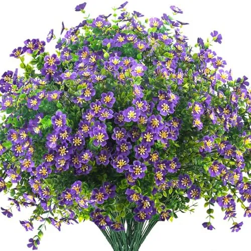 Grunyia Star-Flower Bush – Purple