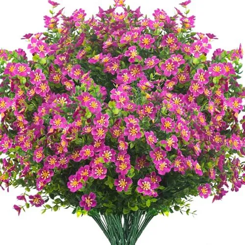 Grunyia Star-Flower Bush – Magenta