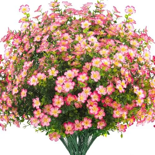 Grunyia Star-Flower Bush – Pink