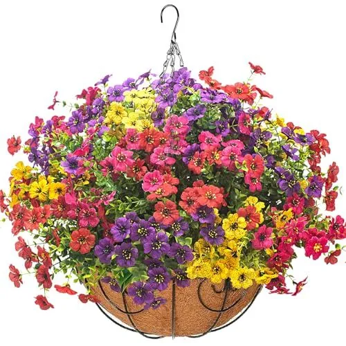 Grunyia Daisy & Eucalyptus Hanging Basket – Spring