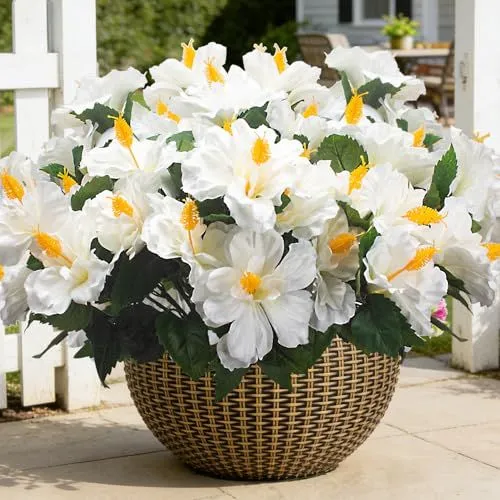 Grunyia Silk Hibiscus – White
