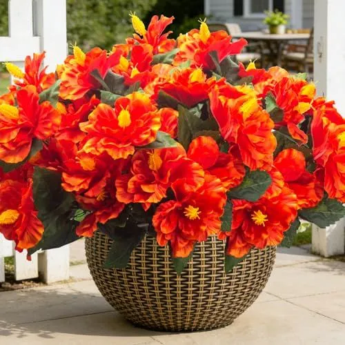 Grunyia Silk Hibiscus – Orange