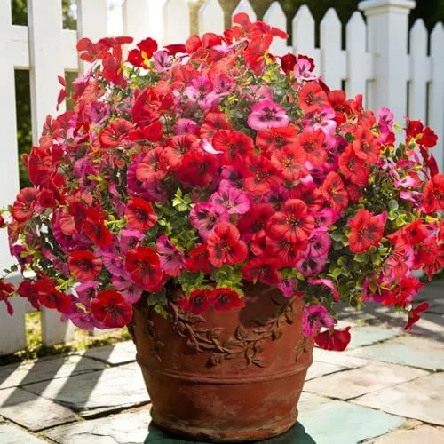 Grunyia Silk Pansies – Red + Pink