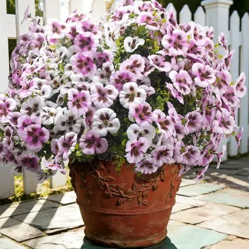Grunyia Silk Pansies – Pink + White