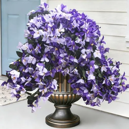 Grunyia Trailing Bougainvillea – Purple & Light Purple