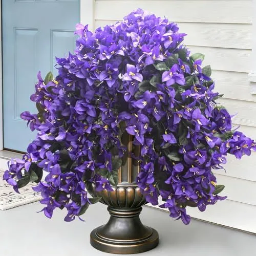 Grunyia Trailing Bougainvillea – Purple