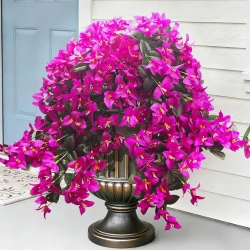 Grunyia Trailing Bougainvillea – Fuchsia