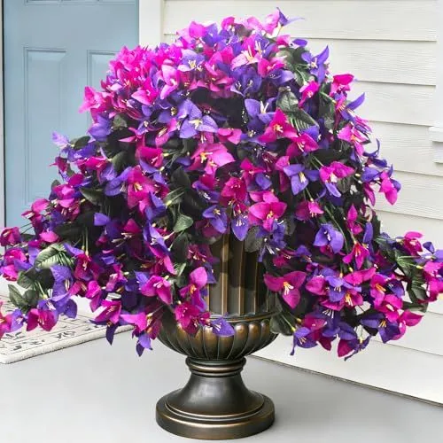 Grunyia Trailing Bougainvillea – Purple & Fuchsia