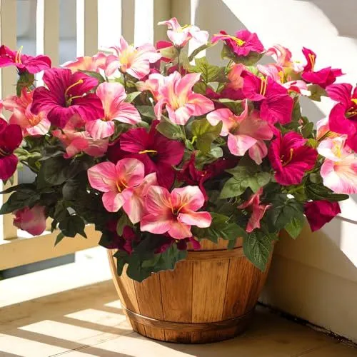 Grunyia Large-Bloom Petunias – Rose Red & Pink