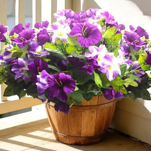 Grunyia Large-Bloom Petunias – Purple & Light Purple