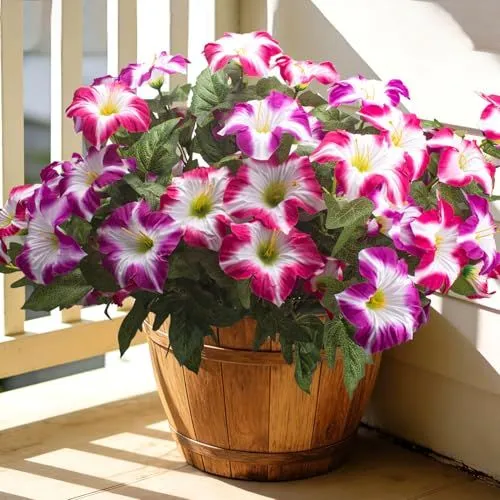 Grunyia Large-Bloom Petunias – Fuchsia & Purple