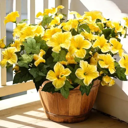 Grunyia Large-Bloom Petunias – Yellow