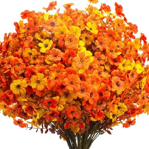 Grunyia Silk Daisy Bush – Yellow Orange