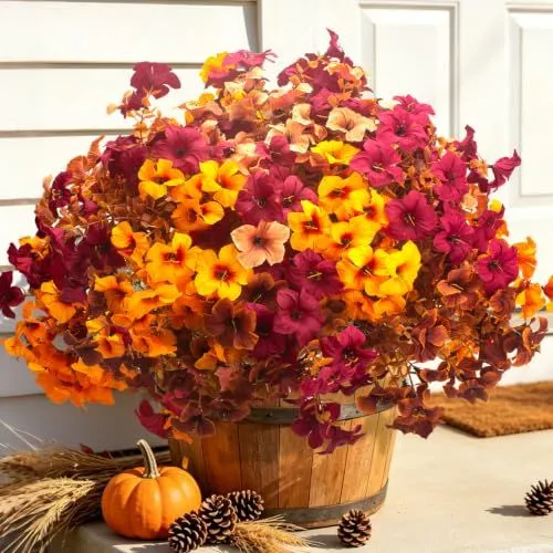 Grunyia Fall Petunias – Fall Mix