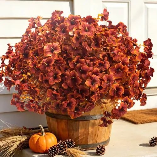 Grunyia Fall Petunias – Caramel Color