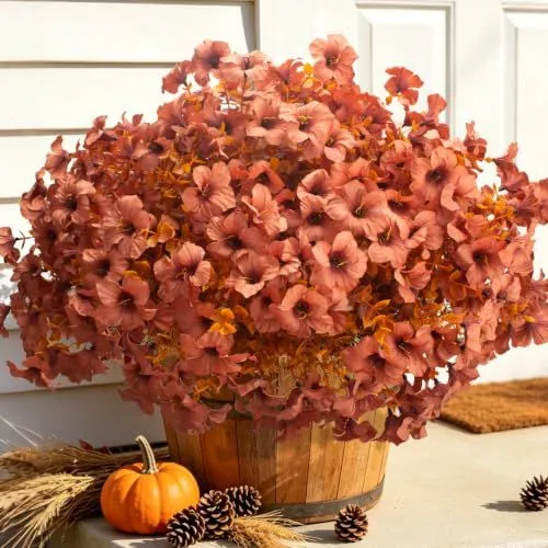 Grunyia Fall Petunias – Light Coffee