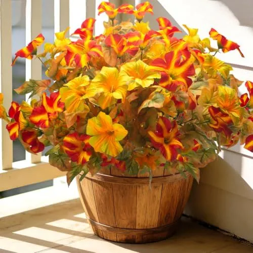Grunyia Large-Bloom Petunias – Gradual Orange