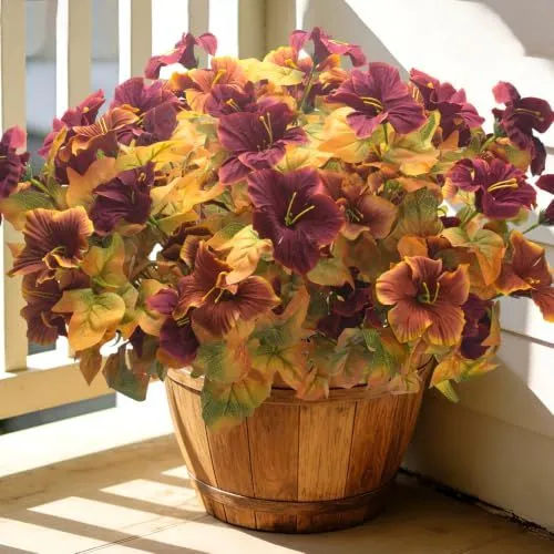 Grunyia Large-Bloom Petunias – Fall Brown Red